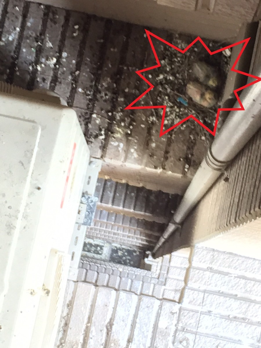 高雄隱形鐵窗 隱形鐵窗高雄 屏東隱形鐵窗 隱形鐵窗屏東 台南隱形鐵窗 隱形鐵窗台南 嘉義隱形鐵窗 隱形鐵窗嘉義 雲林隱形鐵窗 隱形鐵窗雲林 彰化隱形鐵窗 隱形鐵窗彰化 台中隱形鐵窗 隱形鐵窗台中 南投隱形鐵窗 隱形鐵窗南投 桃園隱形鐵窗 隱形鐵窗桃園 新竹隱形鐵窗 隱形鐵窗新竹 苗栗隱形鐵窗 隱形鐵窗苗栗 台北隱形鐵窗 隱形鐵窗台北 新北隱形鐵窗 隱形鐵窗新北 澎湖隱形鐵窗 隱形鐵窗澎湖 金門隱形鐵窗 隱形鐵窗金門 隱形鐵窗 兒童防護窗 兒童防墜窗 防盜窗 防鴿網 防寵物 陽台防護 大樓防護  隱形鐵窗推