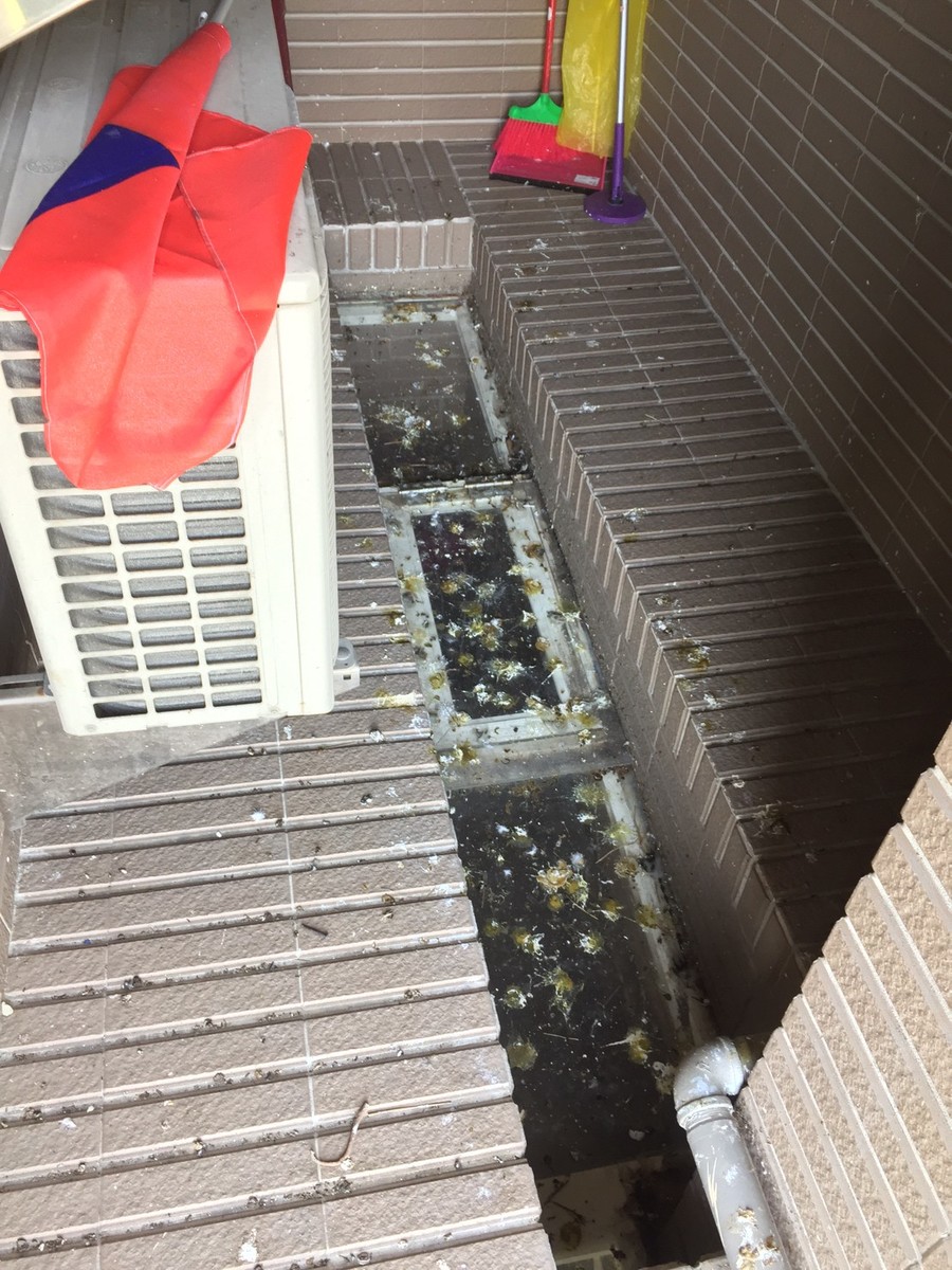 高雄隱形鐵窗 隱形鐵窗高雄 屏東隱形鐵窗 隱形鐵窗屏東 台南隱形鐵窗 隱形鐵窗台南 嘉義隱形鐵窗 隱形鐵窗嘉義 雲林隱形鐵窗 隱形鐵窗雲林 彰化隱形鐵窗 隱形鐵窗彰化 台中隱形鐵窗 隱形鐵窗台中 南投隱形鐵窗 隱形鐵窗南投 桃園隱形鐵窗 隱形鐵窗桃園 新竹隱形鐵窗 隱形鐵窗新竹 苗栗隱形鐵窗 隱形鐵窗苗栗 台北隱形鐵窗 隱形鐵窗台北 新北隱形鐵窗 隱形鐵窗新北 澎湖隱形鐵窗 隱形鐵窗澎湖 金門隱形鐵窗 隱形鐵窗金門 隱形鐵窗 兒童防護窗 兒童防墜窗 防盜窗 防鴿網 防寵物 陽台防護 大樓防護  隱形鐵窗推