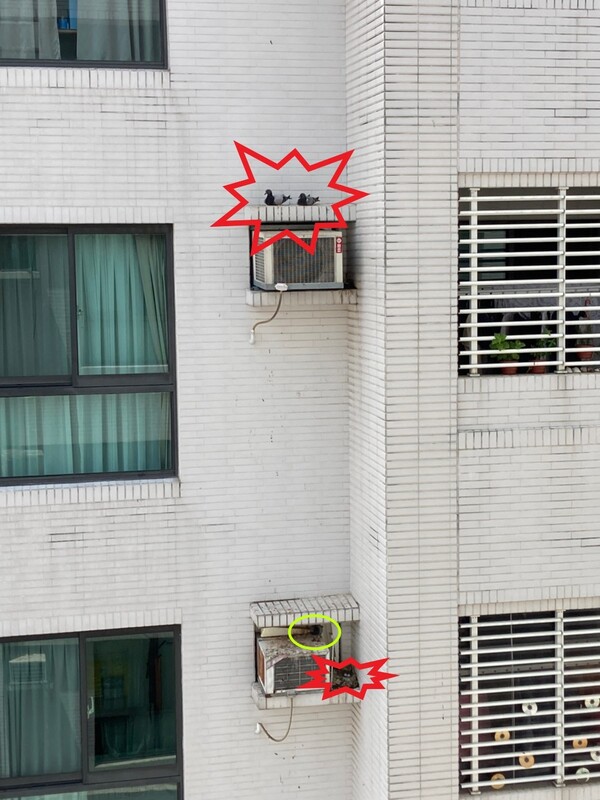 高雄隱形鐵窗 隱形鐵窗高雄 屏東隱形鐵窗 隱形鐵窗屏東 台南隱形鐵窗 隱形鐵窗台南 嘉義隱形鐵窗 隱形鐵窗嘉義 雲林隱形鐵窗 隱形鐵窗雲林 彰化隱形鐵窗 隱形鐵窗彰化 台中隱形鐵窗 隱形鐵窗台中 南投隱形鐵窗 隱形鐵窗南投 桃園隱形鐵窗 隱形鐵窗桃園 新竹隱形鐵窗 隱形鐵窗新竹 苗栗隱形鐵窗 隱形鐵窗苗栗 台北隱形鐵窗 隱形鐵窗台北 新北隱形鐵窗 隱形鐵窗新北 澎湖隱形鐵窗 隱形鐵窗澎湖 金門隱形鐵窗 隱形鐵窗金門 隱形鐵窗 兒童防護窗 兒童防墜窗 防盜窗 防鴿網 防寵物 陽台防護 大樓防護  隱形鐵窗推